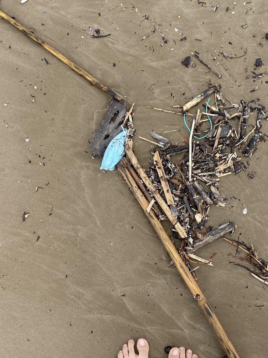 carla_espinos's tweet photo. Involucionamos como sociedad a límites intolerables: aunque lo peor, es que la playa seguía llena de condones, compresas, tampones, botas (?), botellas, bolsas... y añadido a esto, nuestras queridas mascarillas y guantes 🦠 https://t.co/ApsQi3BYgb