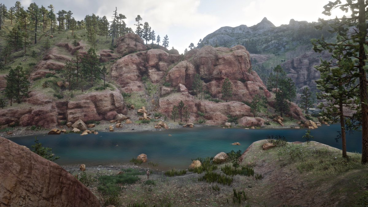 Candysseus's tweet photo. New game for my tweeps today. 
#WhatsThatAnimal ?

👀Look closely at this scene

Can you name the animals in this picture ?

#RedDeadScenes #MissCandyLicious🍭  #SweetAsPhotos📸 #NoFilters #RedDeadRedemption2 #RedDeadOnline #RockstarGames https://t.co/CQAP8uinto