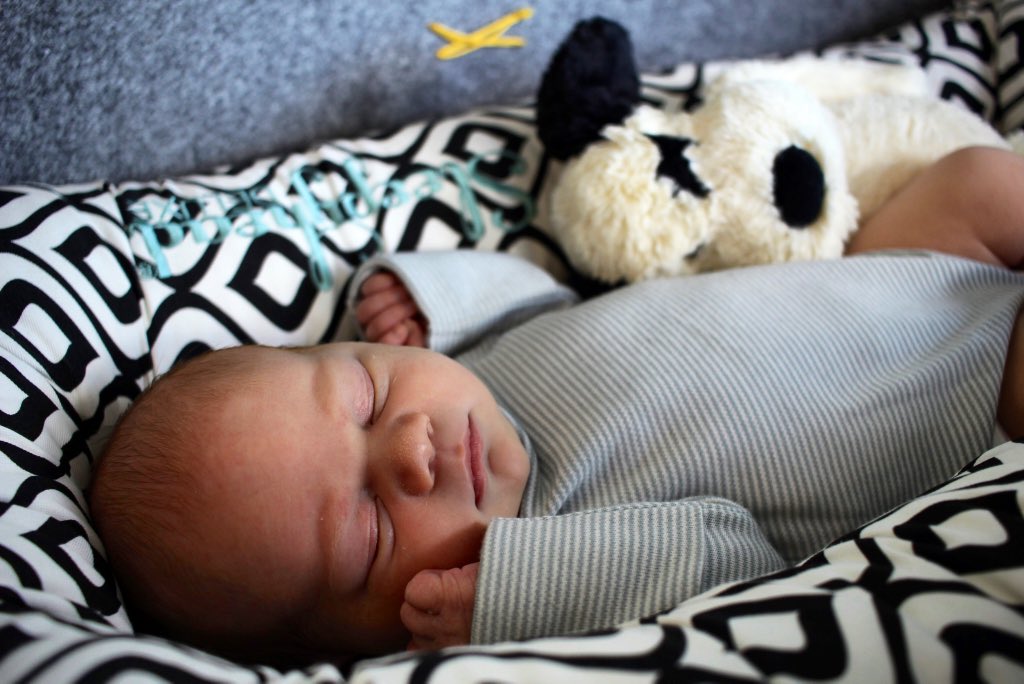 Ash Gibson tweet media