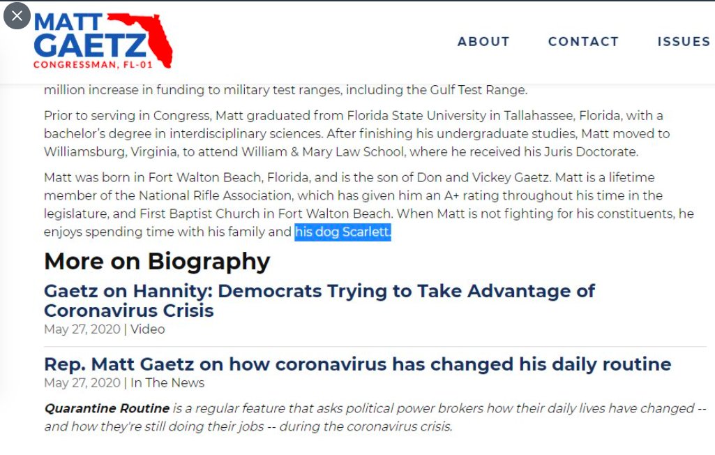 Third question: why doesn't Matt Gaetz mention his "son" Nestor on his website, but he *does* list his dog, Scarlett?