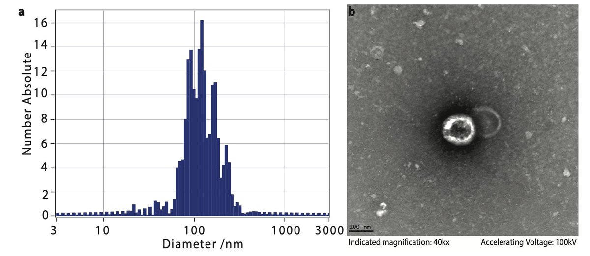 Our latest preprint on saliva omics for non-invasive profiling is on <a href="/biorxivpreprint/">bioRxiv</a>  “Longitudinal Saliva Omics Responses to Immune Perturbation: A Case Study”, where we probed saliva omics response to immunization in an individual. 
biorxiv.org/content/10.110…
<a href="/gmiaslab/">George Mias' Lab</a> <a href="/MSUIQ/">IQ</a>