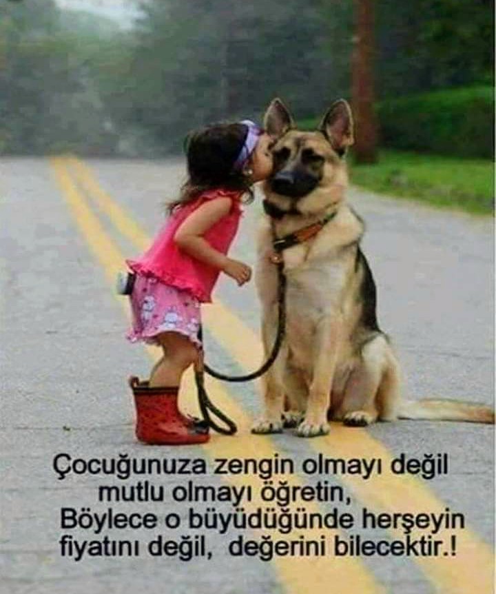 Soner Ünger (@sonerunger) on Twitter photo 