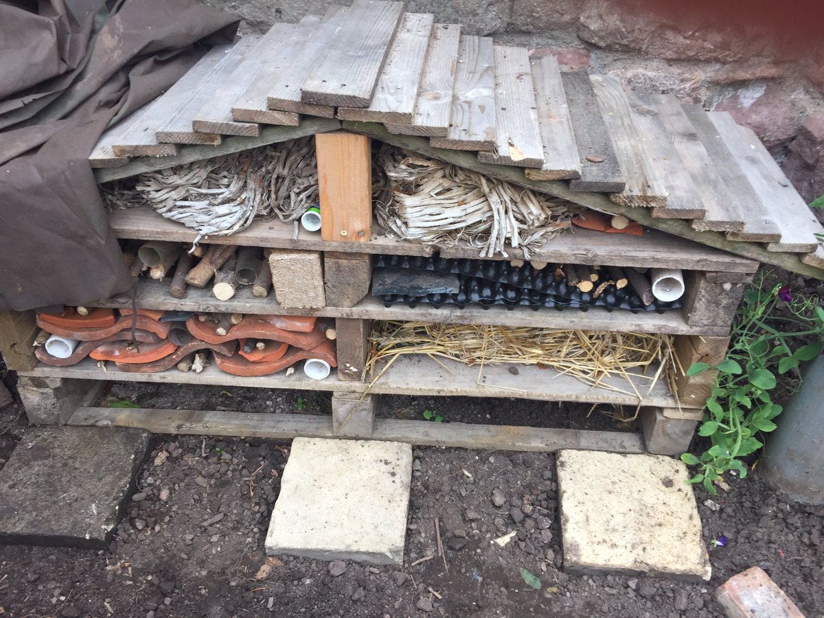 LolaAmbus's tweet photo. Magical place in #dunbar.
 We walked into this pretty garden this afternoon and we got an inspiration for our next school project ( The Bugs hotel) #bugshotel on the last picture looks fantastic @theRidgeCIC @DunbarPrimary @DunbarNursery #thebacklandgardens https://t.co/fQkfnLWgUM