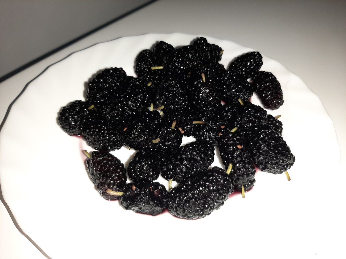_plsstayalive's tweet photo. what do you call these in your language?
#murve https://t.co/BkOsicx48o