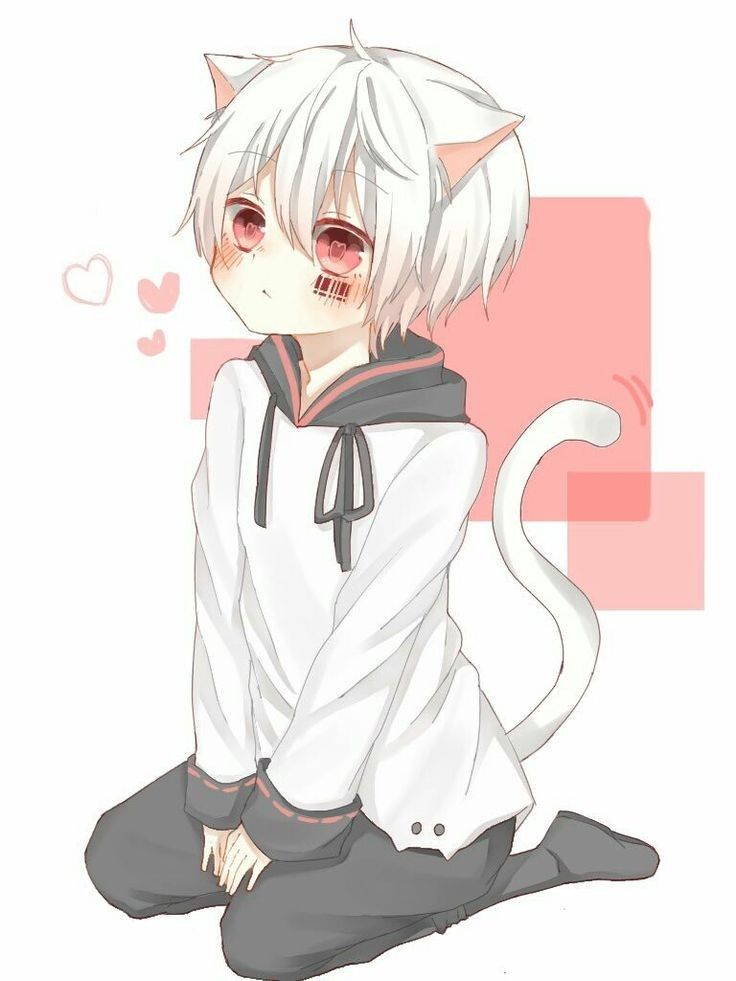 Anime Cat Guy