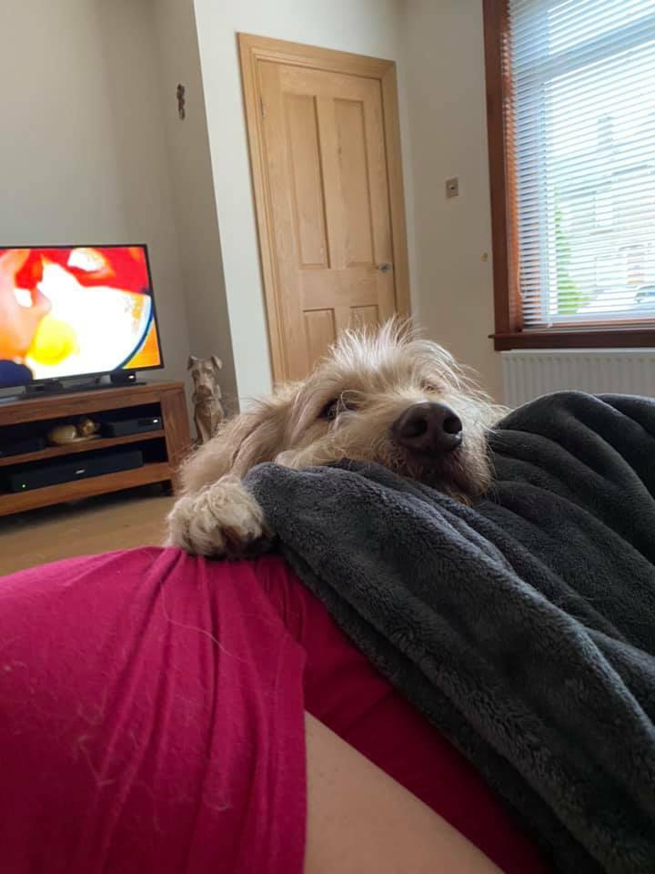 Think Murphy wants something???