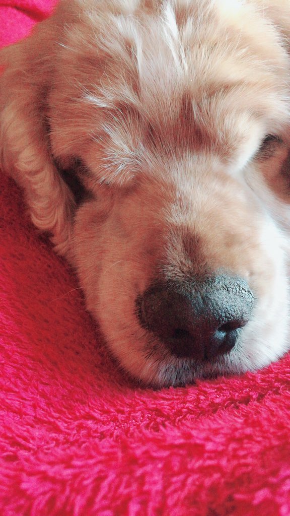 emmi 🌸🐻🍊 tweet media