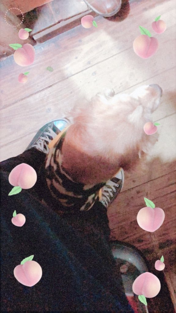 emmi 🌸🐻🍊 tweet media