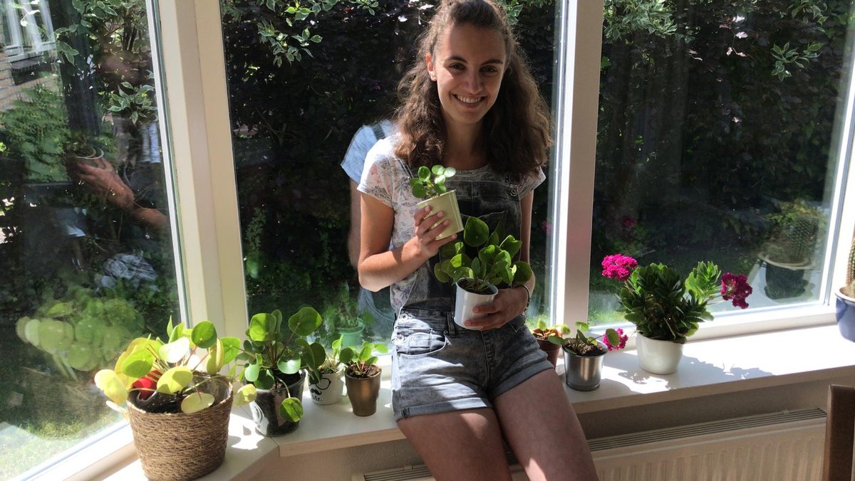 De magie van de pannenkoekplant, winnend idee in uitvoering. Lisa Pais, één van de winnaars van YESC 17+ is gestart met de uitvoering van haar idee, de pannenkoekplant inzetten als symbool voor een gezonde natuur en een beter milieu. Meer lezen op facebook.com/YESCZeeland/