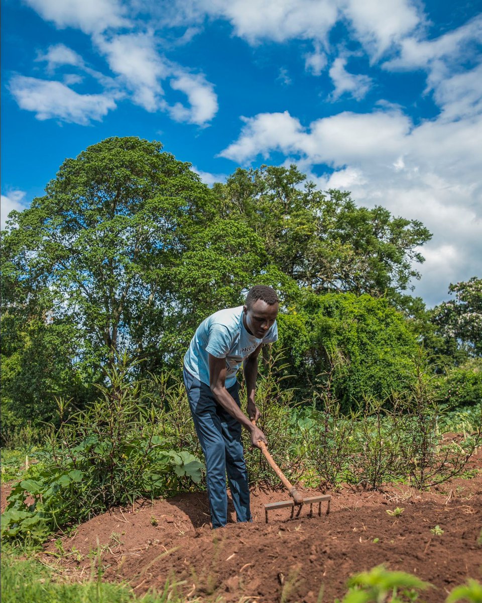 Thrive4Good's tweet image. ”After attending a one-month seminar at Thrive Institute, I am now transforming wasted land into Life-Gardens. My community has benefitted a lot from the knowledge I got at Thrive.”

#lifegardens #transformation #growinghealth #nutrition
