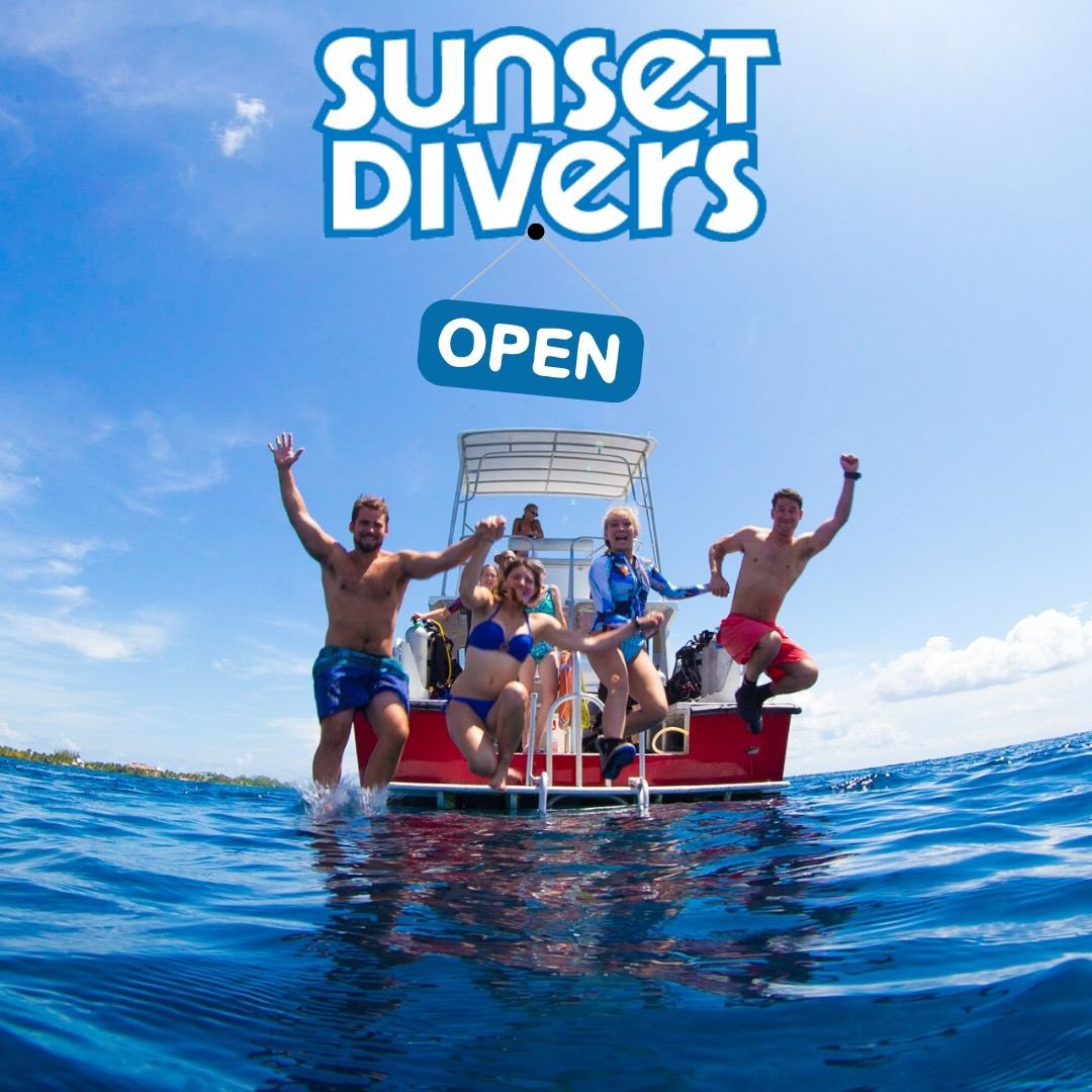 We are excited to re-open shore diving at Sunset Divers this Sunday! Our waiver has been updated &amp; resident details can be seen here bit.ly/3deZ5pd We look forward to welcoming you back. #caymanresidents #scubadiving #divecayman
