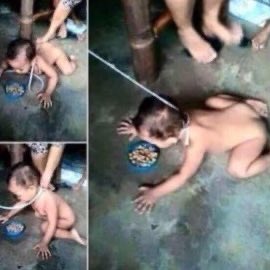 Labertasche tweet media