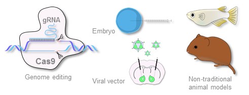 Larry Young tweet media