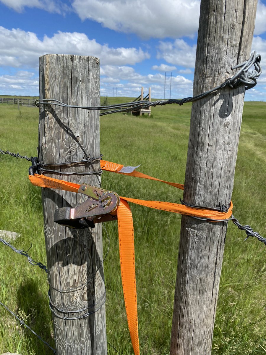 CR_Bar_Ranching tweet media