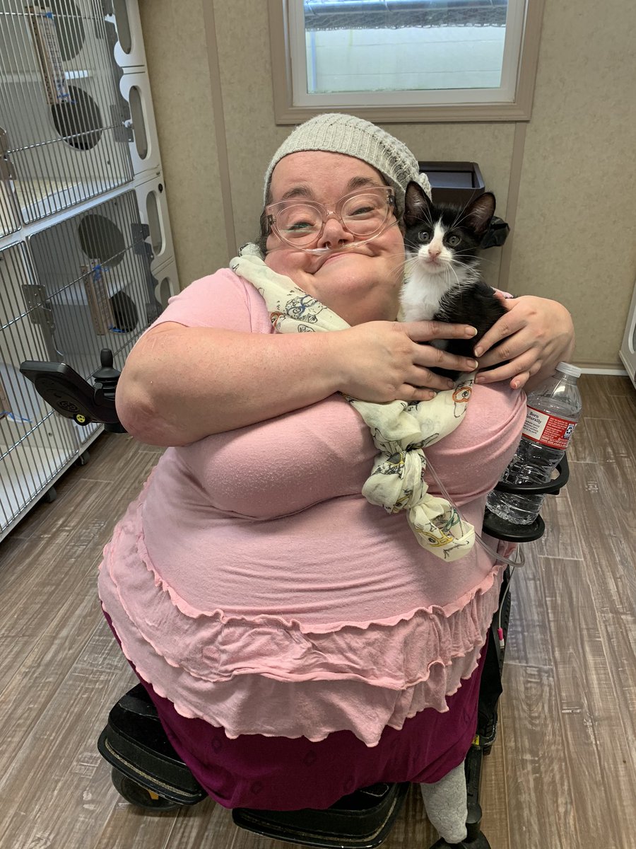 i went to the animal shelter to get a kitten, preferably a girl. this little guy chose me, though, and now we’re heading home!