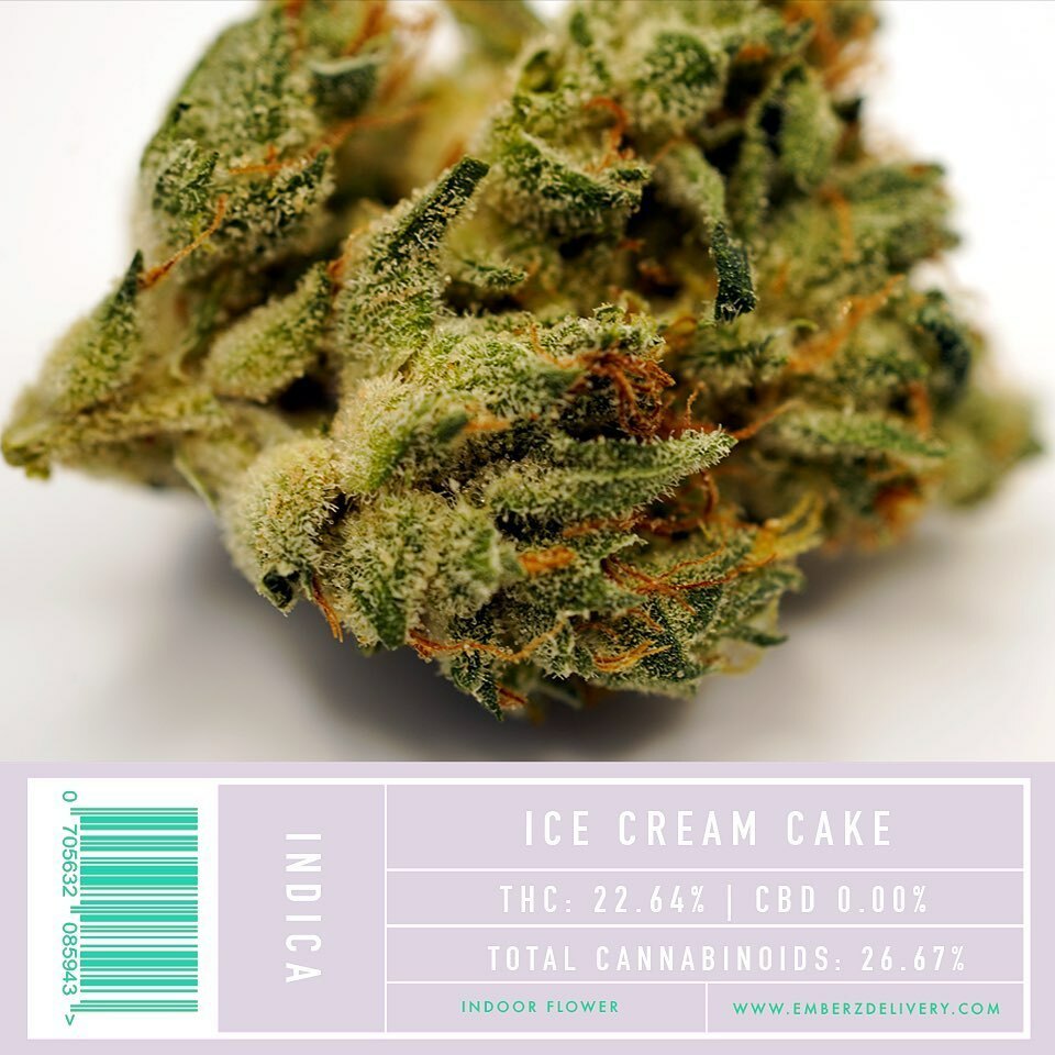 EmberzBrand's tweet image. THC Design “Ice Cream Cake” 🍨#THCDesign #Muzeum #LightUpYourDay #FollowTheFly #CuratedCollective instagr.am/p/CBly1vZpNXl/