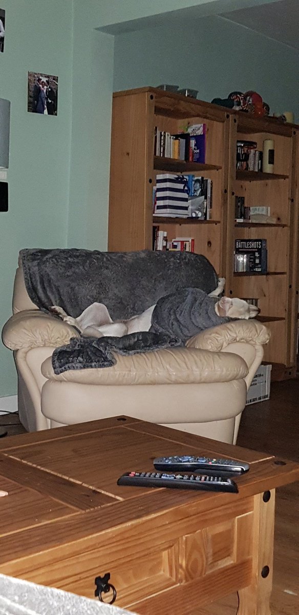 hannahstarritt's tweet photo. Someone has made herself comfortable by pulling the blanket over herself #Isla #RaynerRabbleKitchen https://t.co/jlE0d9hEgu