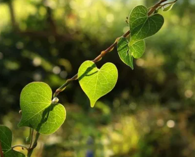 "Be a true representative of the goodness in your heart, and don’t expect it to be easy or even noticed."
This (and a lot more!) on gratefulness.org. A site for #LifeLovers! 🙂 💖
.
#grateful @GratefulnessOrg