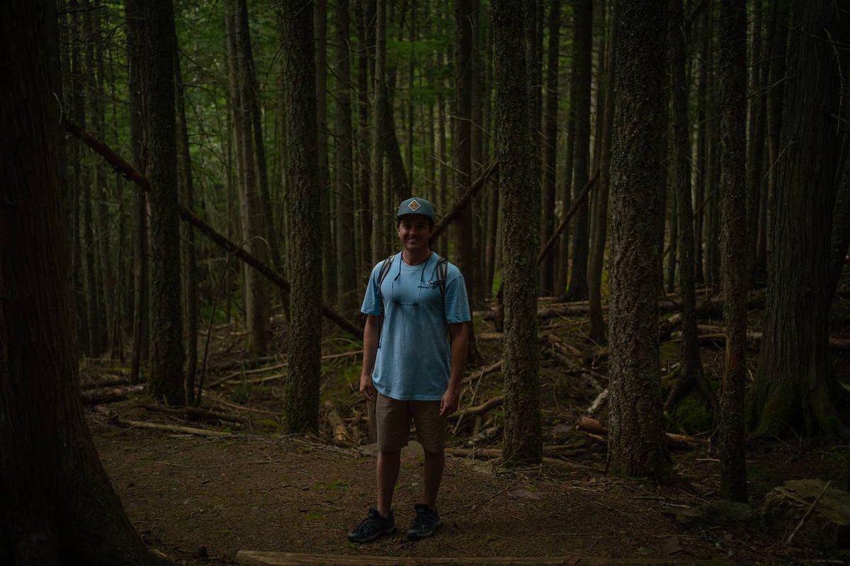 Justin Bond tweet media