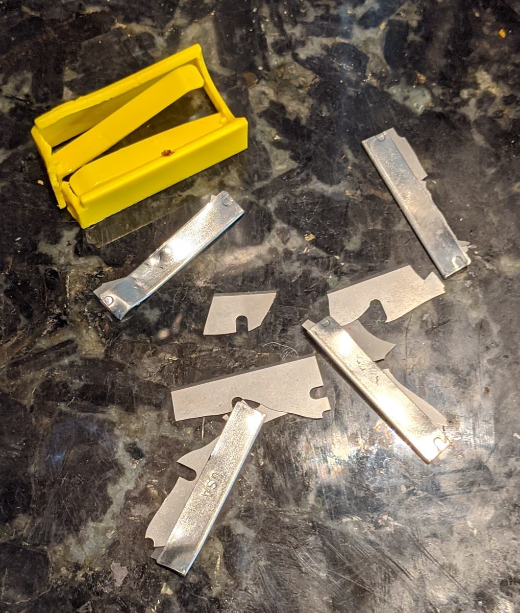 dog ate disposable razor