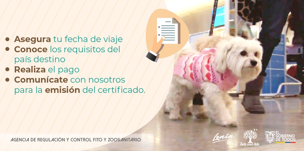 AgrocalidadEC's tweet photo. #PrevenciónSanitaria | Si te encuentras en situación de repatriación y necesitas viajar con tu mascota, ten en cuenta estos aspectos. https://t.co/ixagvtKDsh