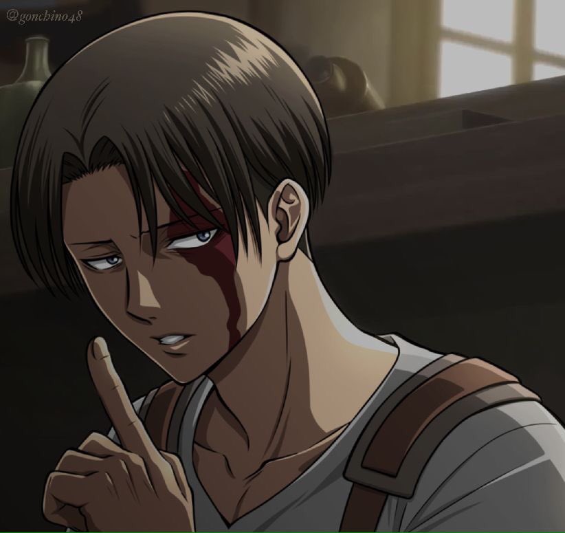 Featured image of post Mikasa Ackerman Aot Pfp