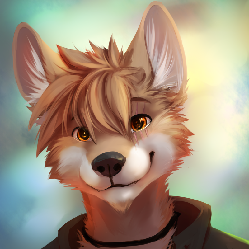 HomoShepherd's tweet photo. ''Oh hi, o:"

I DO NOT OWN THIS https://t.co/UaQt4ZlLkM