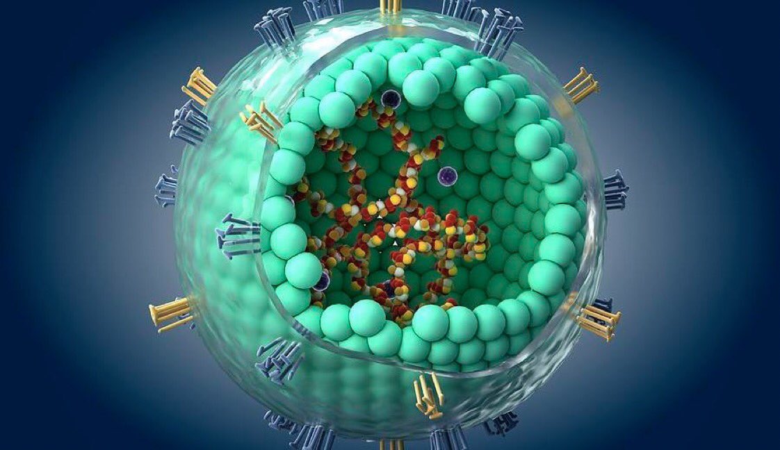 This is a picture of measles?And this is the reason I started looking a little bit deeper into viruses.