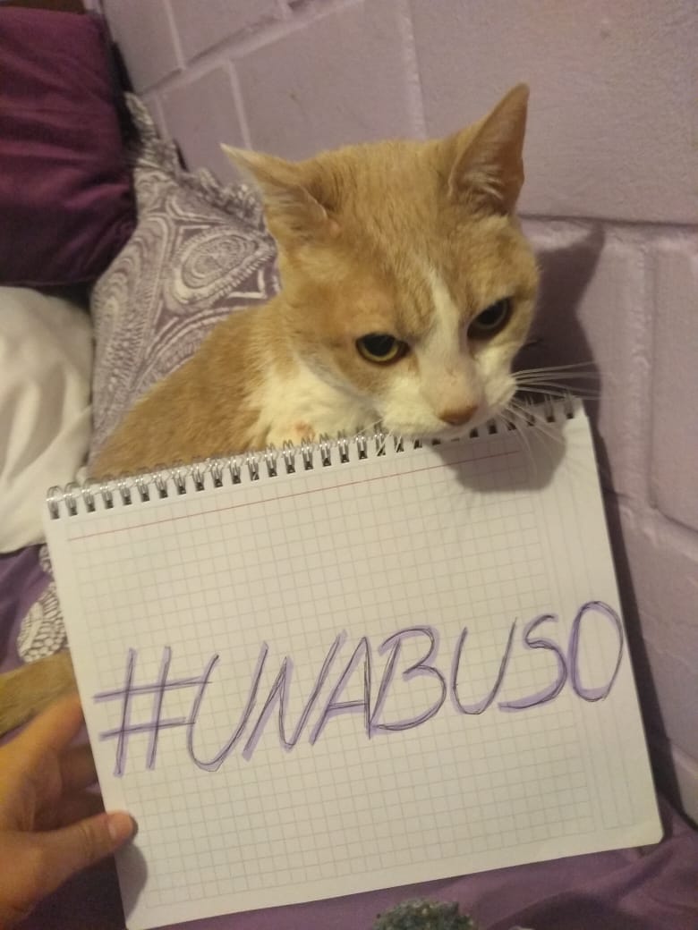 suck_my_ally's tweet photo. #UNABUSO https://t.co/fhoVTzJ3wQ