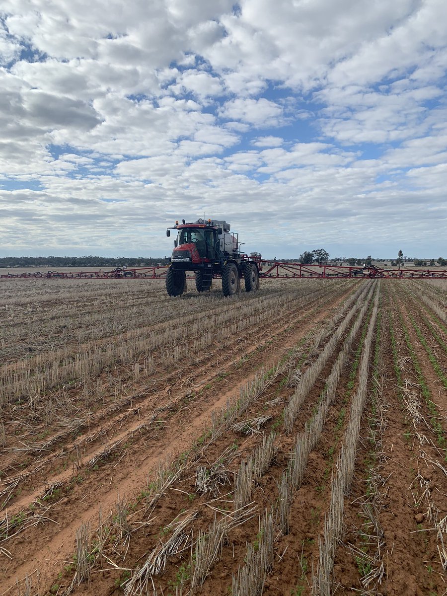 Grass spray on the lentils all done, 🤞for a decent rain tonight. #patriot <a href="/sunrseag/">Growers Services</a>