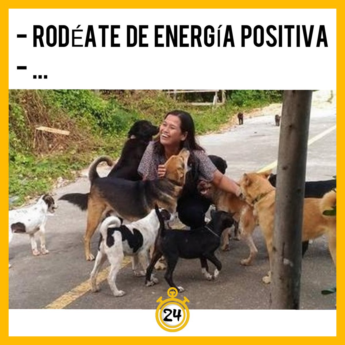 solotienes24hrs's tweet photo. Tal como recomendó el doc 🐶👨‍⚕️

Dale like y RT ❤️😌

#energiapositiva #perros #dogs #perroseninsta #Firulais #amorporlosanimales #perrospty #abrazo #amor #sonrisas #memeFirulais #positivo #optimismo #motivaciondeldia #motivacionenunaimagen https://t.co/7ufLiIvr5z