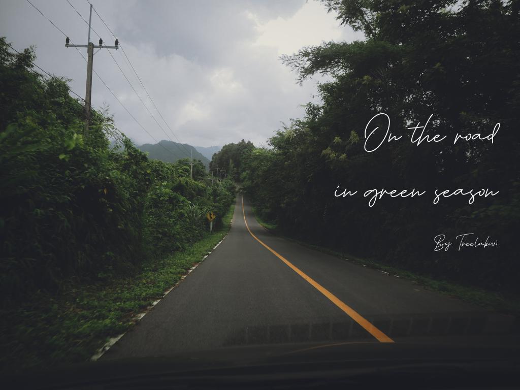 TreeLaKow's tweet photo. ท่องเที่ยวหน้าฝน "ขับรถ ระมัดระวัง" กันด้วยนะ ...
#Greenseason
#ทีละก้าว https://t.co/cnXRKXUX72