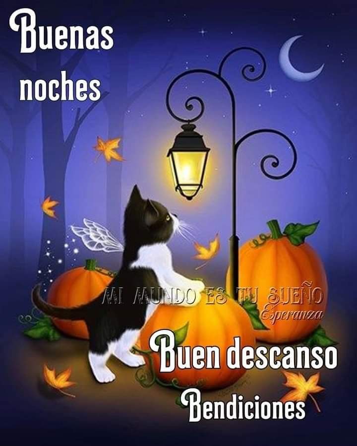 Guadalupe LM on Twitter: Guadalupe LM on Twitter: