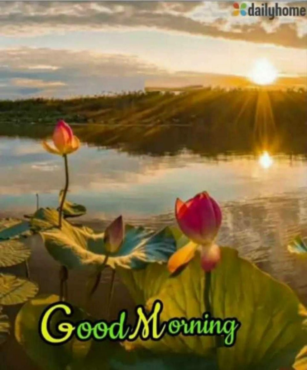 Jetu barot (@jetubarot) on Twitter photo 