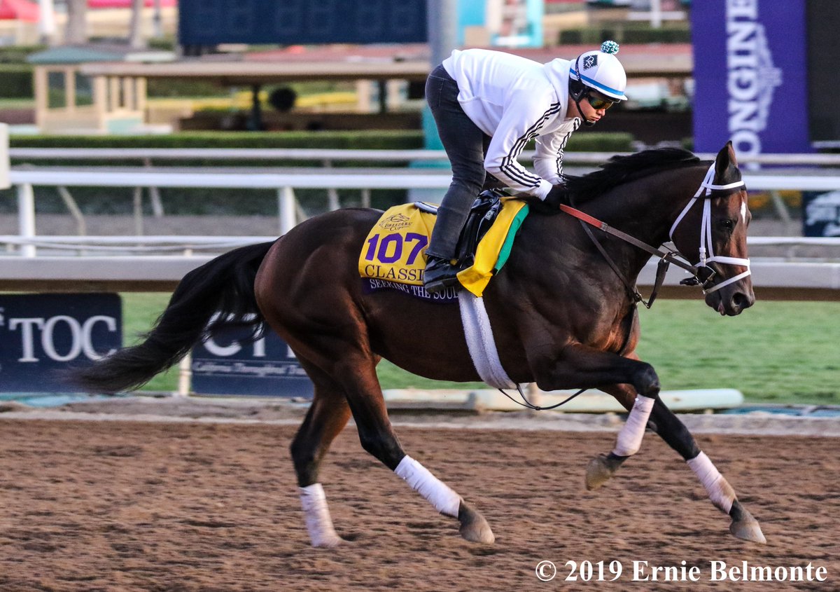 Ernie_Belmonte's tweet photo. Happy retirement to multiple graded stakes winner Seeking the Soul. #ClarkHandicapWinner #AckAckWinner #StephenFosterWinner https://t.co/VmHf4fVtLL