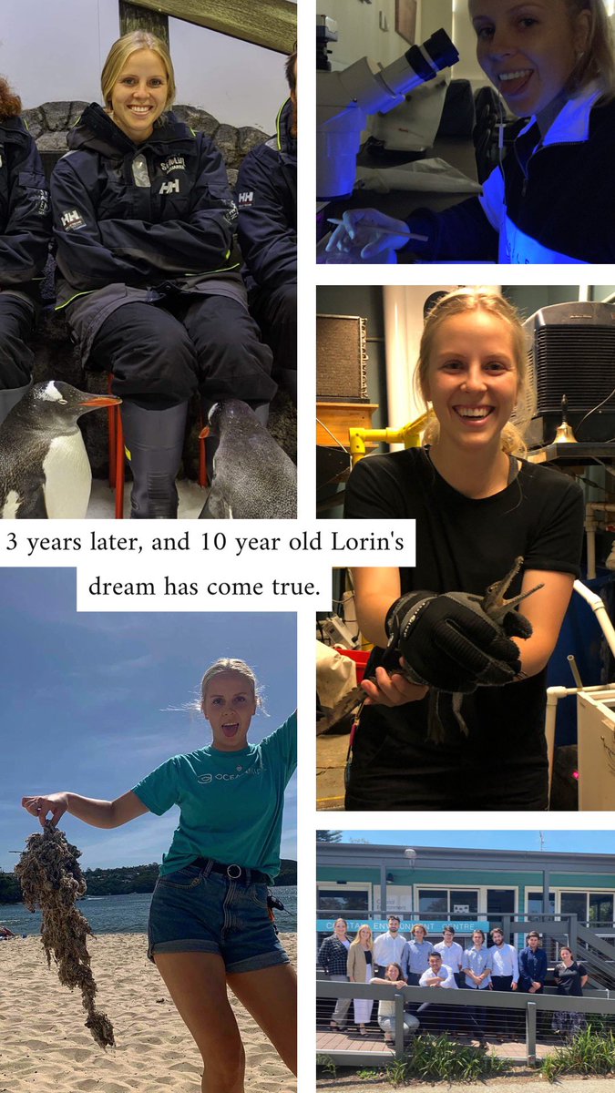 Lorin Lambert tweet media