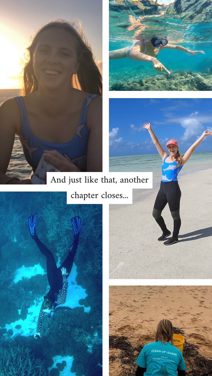 Lorin Lambert tweet media