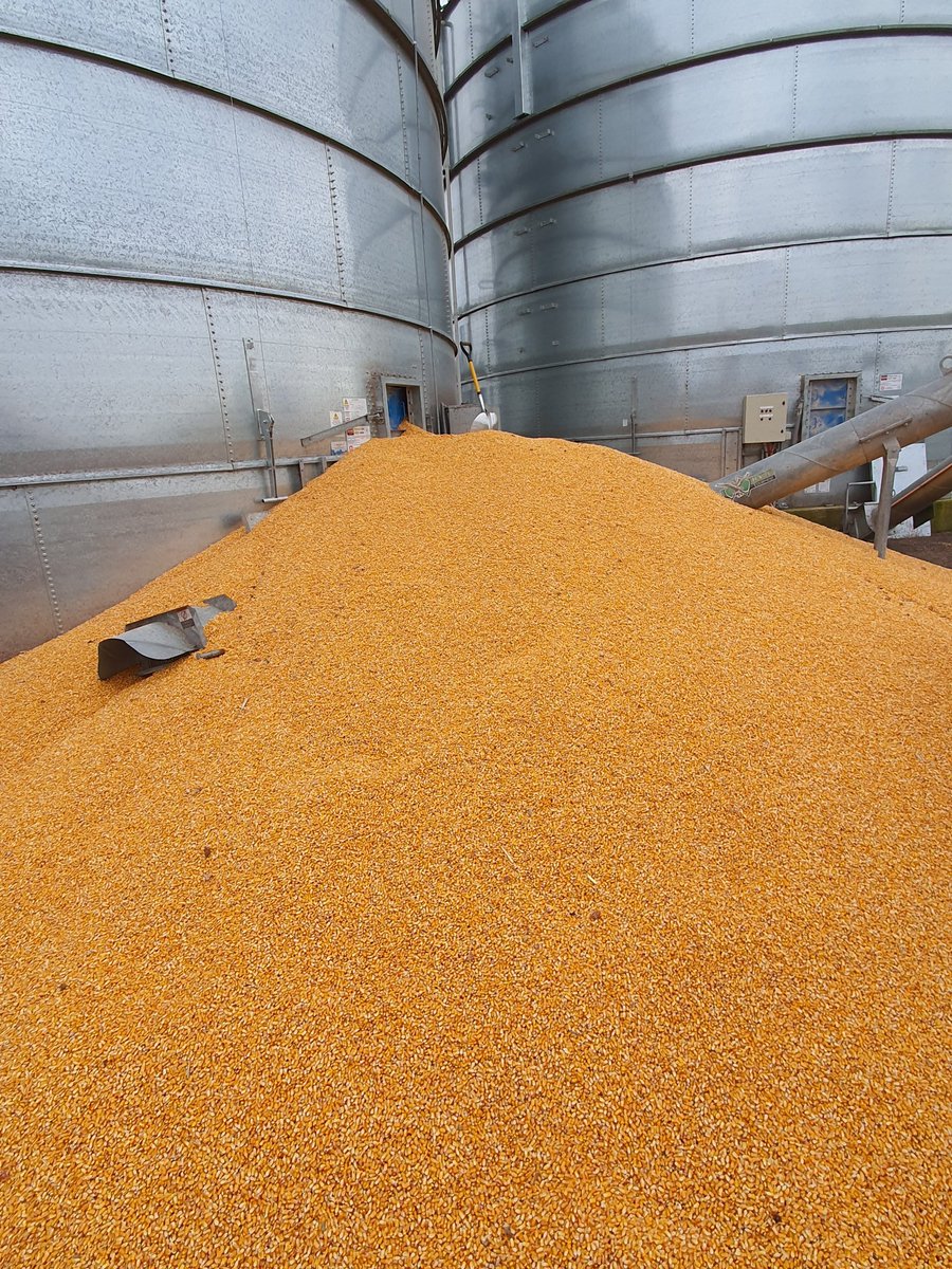 Everyone's taking it pretty well😬