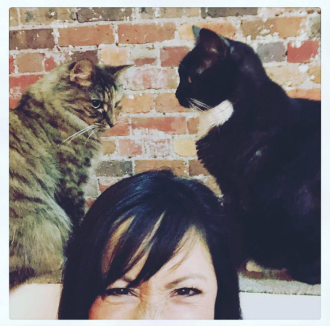 simonnelee_'s tweet photo. Animal Communication - Let me share with you what it's all about! https://t.co/UzVtGpIWm2 via @YouTube https://t.co/ye6XQV9ndk