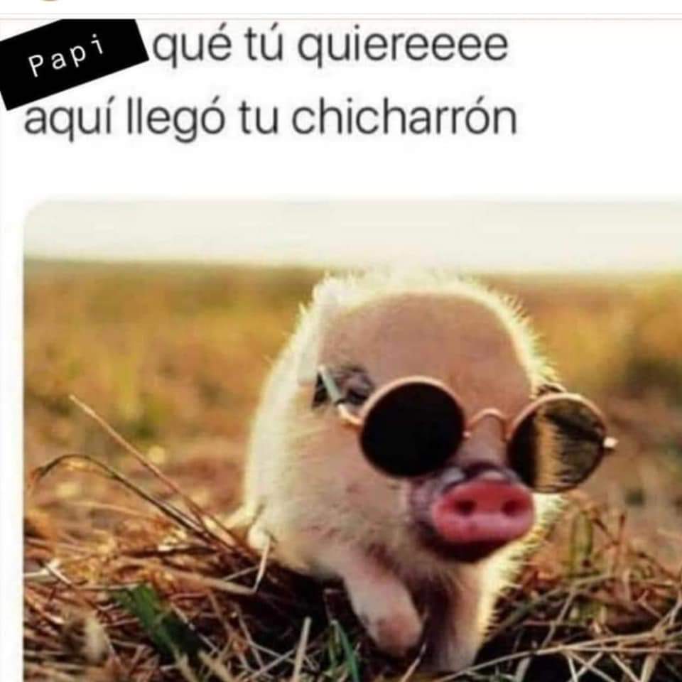 Ezmer33's tweet photo. @Yunis1881 😂😂😂😂 you with your new shades jk https://t.co/jjcyhUotkU