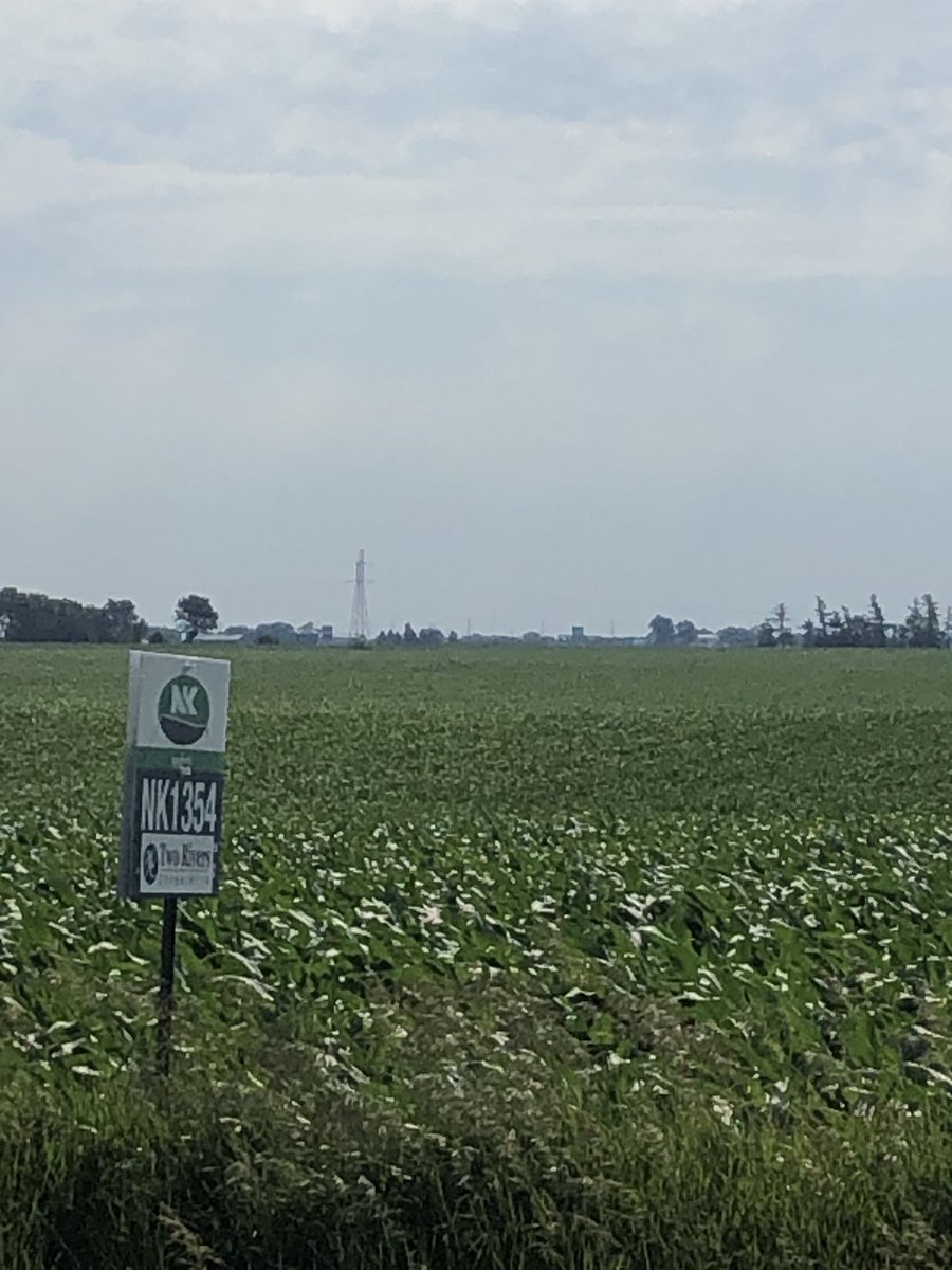 VOberbroeckling's tweet image. One of my favorite things to do is look at crops and share/mentor young agronomists! Today we found some insect feeding! Thank you Two Rivers Coop Pella IA for your time and the hard work of putting up signs! The fields of NK1284 and NK1354 🌽👀💥💥💥! #growNK2020 #fieldsofgreen