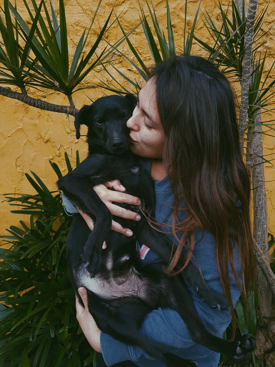 MarMaccarini's tweet photo. 91 días de cuarentena y tenemos nueva integrante 💛 https://t.co/e3p8vev7bN