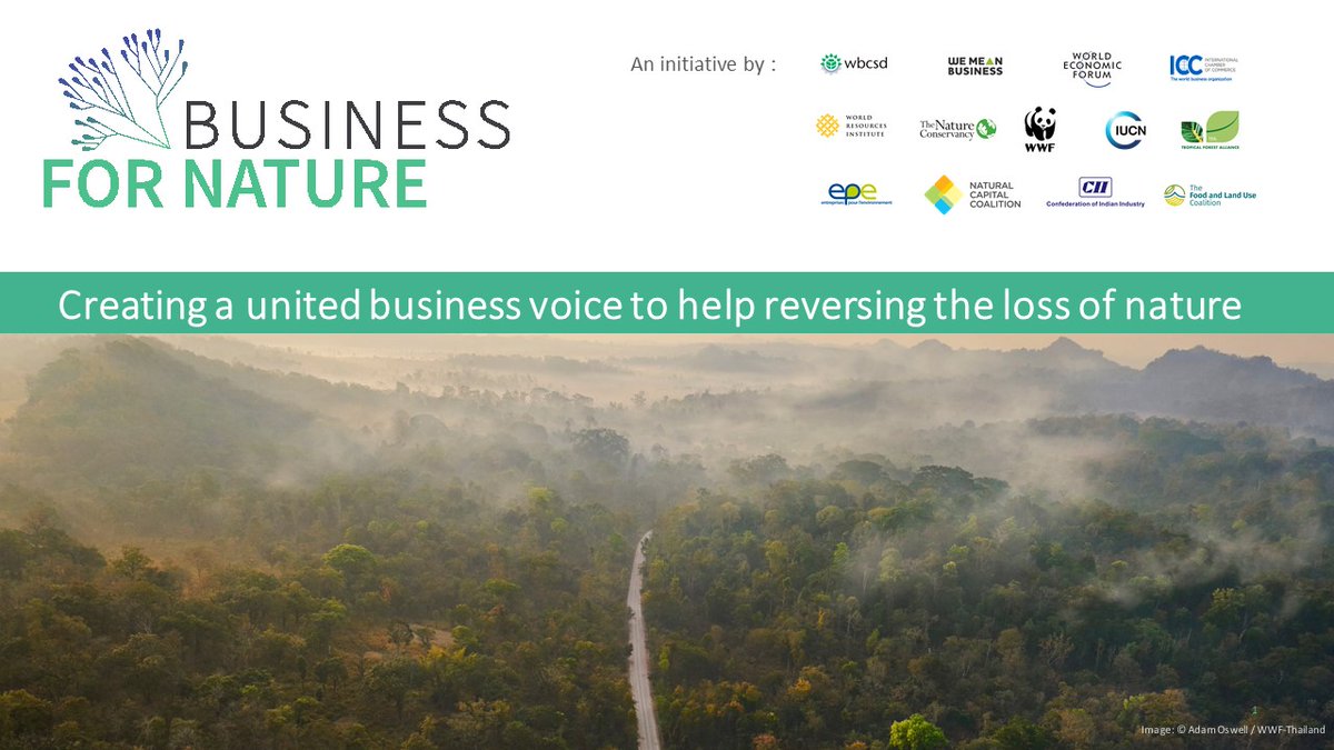 Here we can add that We Mean Business is a founder of Business For Nature & Nature4Climate w/ Purpose Partner  #WWF. #SuperYear: a campaign for the coming financialization of nature under guise of climate mitigation &  #biodiversity (which they continue to destroy by the minute).