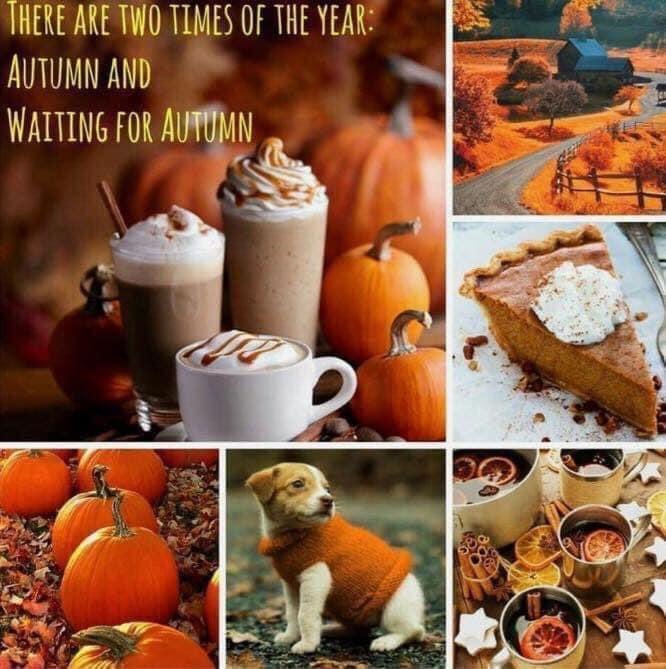 Who&rsquo;s counting down until fall? You all know that I am https://t.co/4zxJmQZhmw