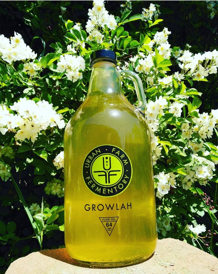 Hey, we're offering 64 Oz growlers. 
NOW AVAILABLE
- Sage Mead
- Mint Jun
- Strawberry Rhubarb Kombucha
- Lilac Kombucha
- Sage Kombucha