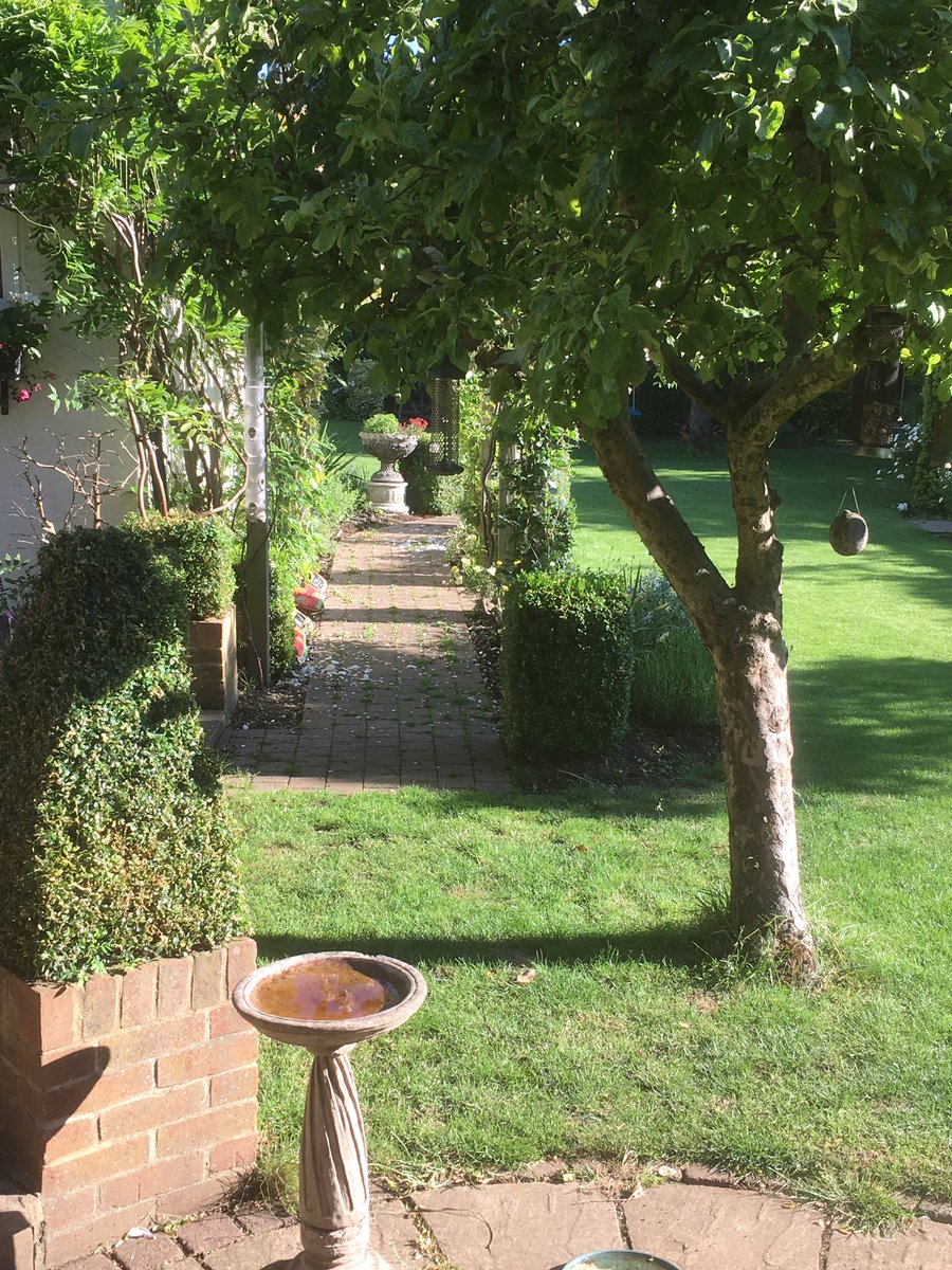 yesitscarol's tweet photo. #RSWorldEnvironmentWeek2020 @readingsch Enjoying evening sunshine. https://t.co/c4GR39PEBF
