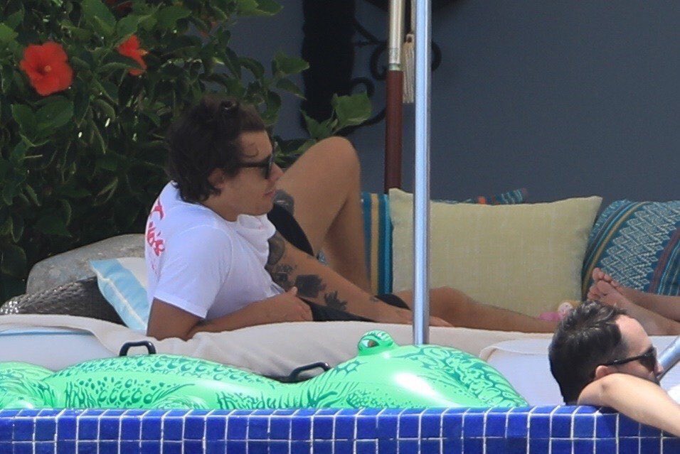 harry in white; a long, but necessary, thread