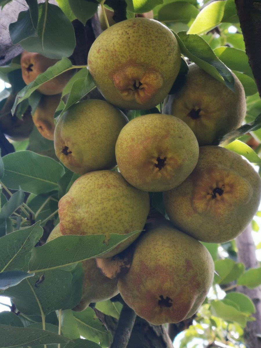 En el día de la #gastronomiasostenible invito a los Colombianos a comprar la producción de campesinos de su región, con lo que se reactiva la economía local y regional. A empresarios del sector alimentario y consumidores, a reducir las pérdidas y desperdicios de alimentos.