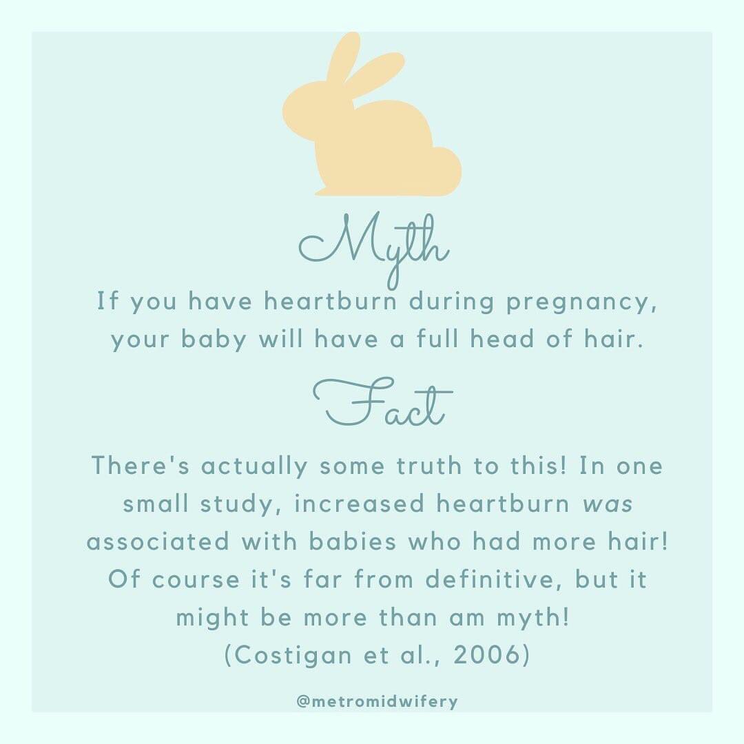 MetroMidwifery's tweet photo. Surprise! Here’s a myth that might have some evidence to back it up! 😂 Did you have heartburn during #pregnancy? Did your baby have luscious locks? #tbt #throwbackthursday #childbirth #denverbirth #homebirth #metromidwifery #midwife #homebirthmidwife #midwifenedra #midwifegina https://t.co/rSABPMSC3D
