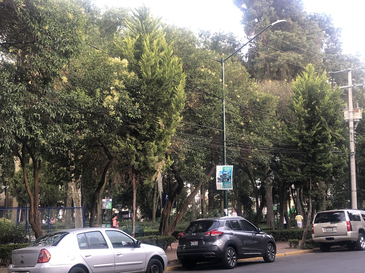 Creo que si merecemos lo que nos pasa!
No es posible que si te dicen #QuedateEnCasa hagan fila para un helado!
Salir a correr como si nada pasará!
Ver gente de la 3ra edad sin cubrebocas 🤦🏽
Si merecemos lo que nos pasa!
<a href="/En_laDelValle/">En la Del Valle</a> <a href="/NarvarteVecinos/">Del Valle/Narvarte Unidos 🌳🌺</a> <a href="/coldelvallecdmx/">Colonia Del Valle</a>